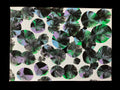 Real Abstract Modern Art Painting on Canvas 18cm x 13cm Unique