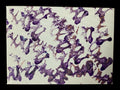 Real Abstract Modern Art Painting on Canvas 18cm x 13cm Unique