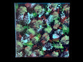 Real modern abstract art painting on canvas 20 x 20cm unique