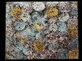 Real Abstract Modern Art Painting on Canvas 30cm x 25cm  Unique